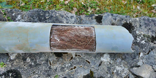 Drainage pipe cut open to show how roots can tangle and block pipes, ultimately leading to blockages and fractures of pipes.